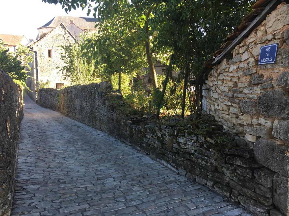 Maison En Pierres Au Coeur Du Village Medieval De Villeneuve Buitenkant foto
